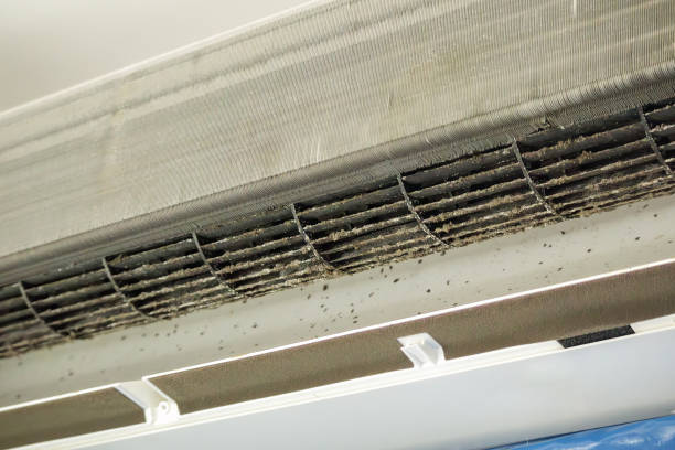 Best Air Duct Cleaning Company Near Me  in Wilson Conococheague, MD